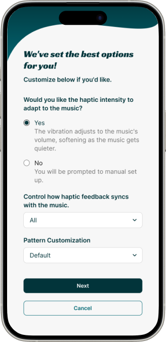 Haptic Settings Interface